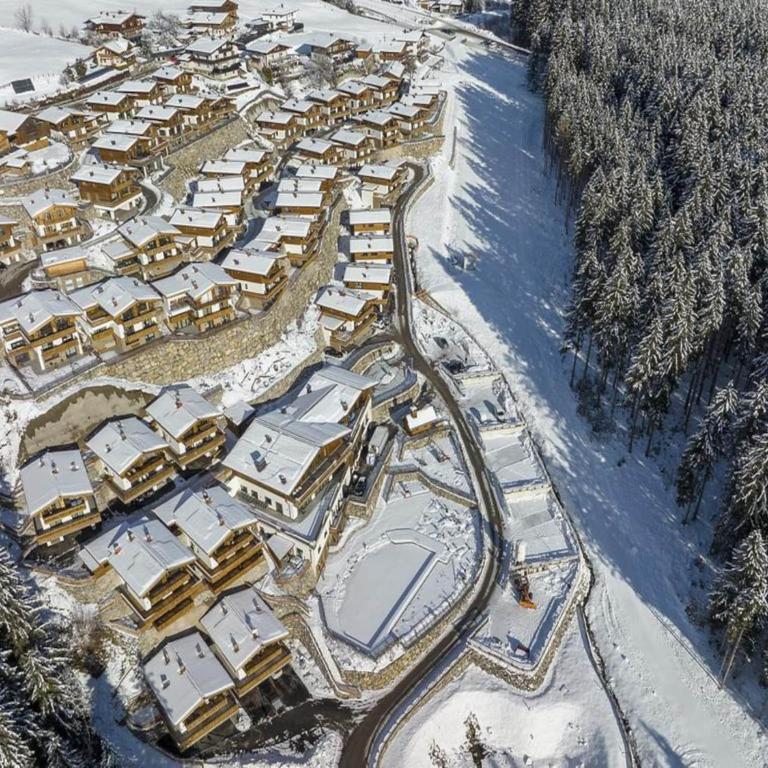Stay near Ski Arena Wildkogel - Superior Chalet - 50