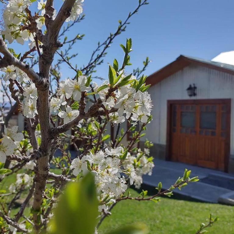 Cabañas Ventalia - Casa de 2 dormitorios - 36