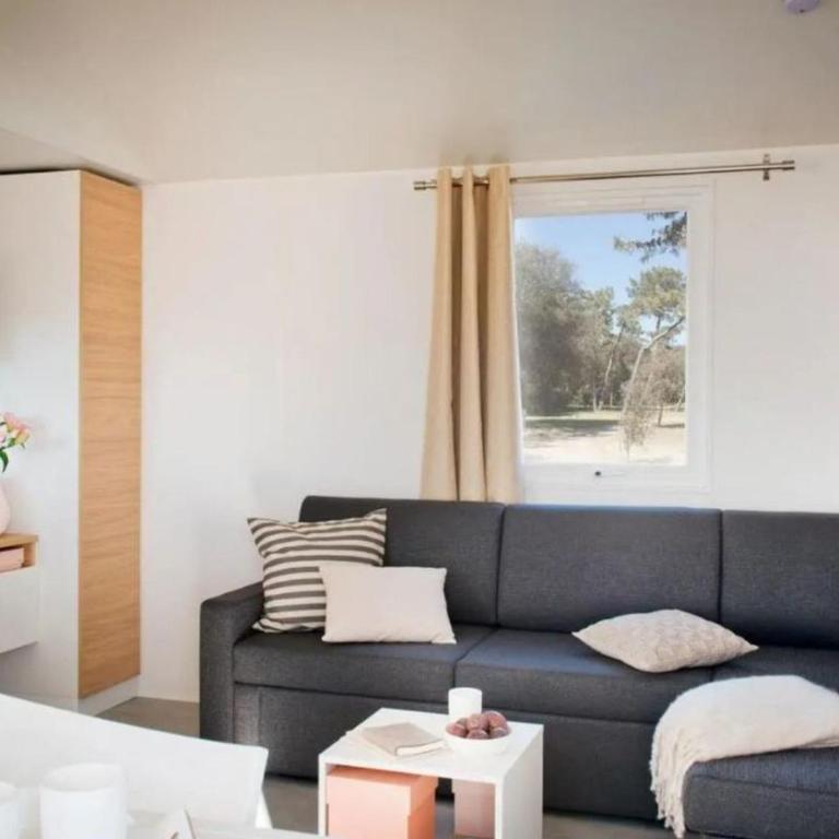 Confortable Mobil-home 36m² avec Terrasse à Saint-Jean-de-Monts - API-1-52-1463 - Mobilheim - 5