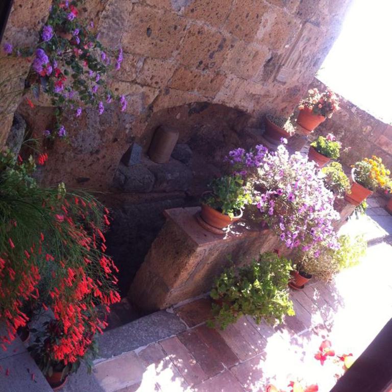L'Incanto di Civita - Apartment with Garden View - 22
