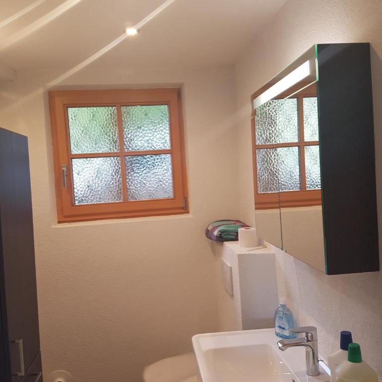 Wohnung am Stadtrand von Graz - Apartment mit 1 Schlafzimmer - 14