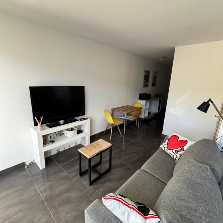 Appartement centre ville - Apartment with Garden View - 3