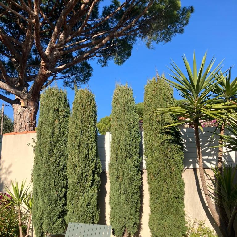Campagne Vanrell Maisonnette - Apartamento de 1 dormitorio - 13