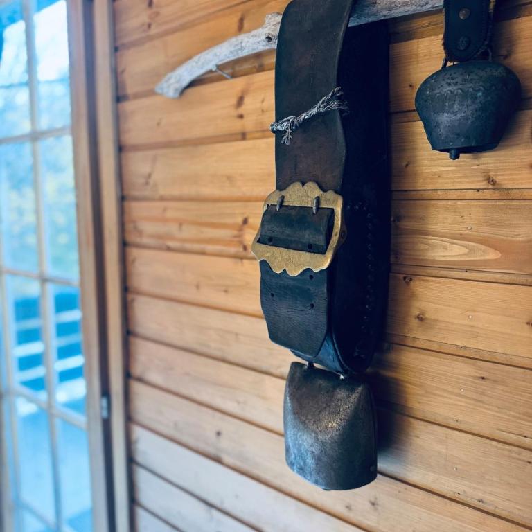 Chalet Bodeli with sauna and panoramic view glacier area - Chalet - 37