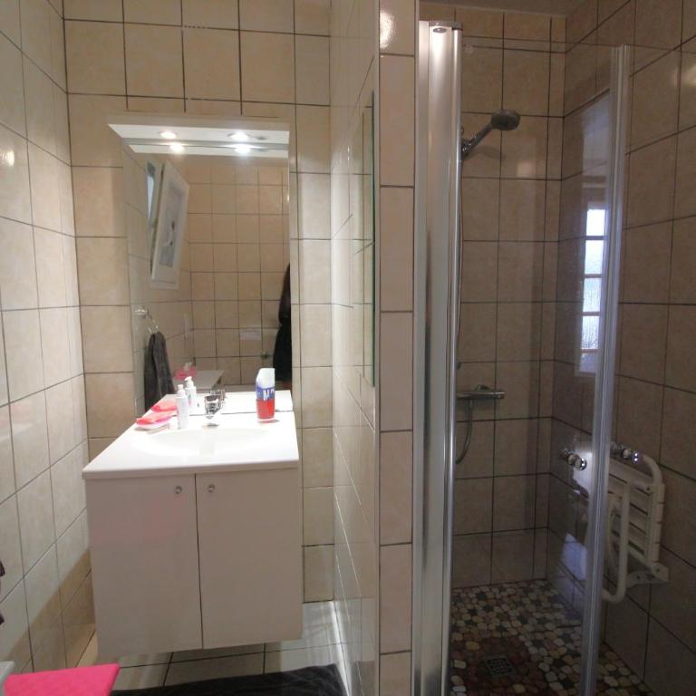 Gîte La Louvière La Bresse sauna nature - Apartamento con 4 dormitorios - 21