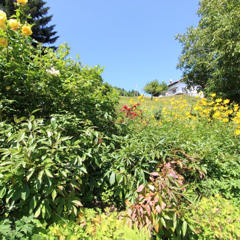 Gîte La Louvière La Bresse sauna nature - Apartamento con 4 dormitorios - 26