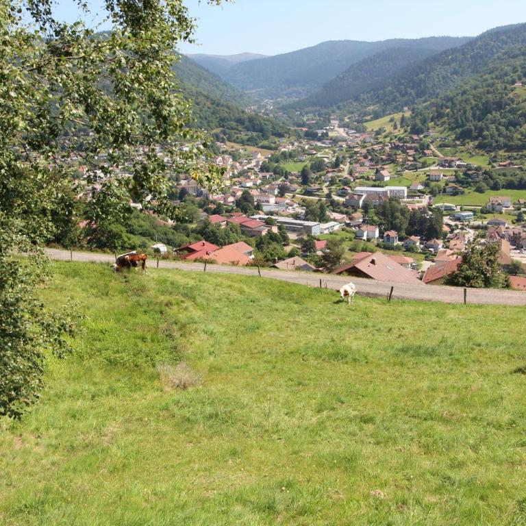 Gîte La Louvière La Bresse sauna nature - Apartamento con 4 dormitorios - 31