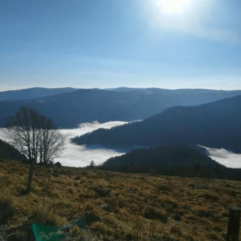 Gîte La Louvière La Bresse sauna nature - Apartamento con 4 dormitorios - 32