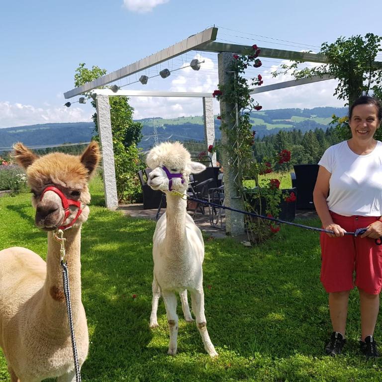Gästehaus Reichart - Camera Matrimoniale Deluxe (2 Adulti + 1 Bambino) - 15