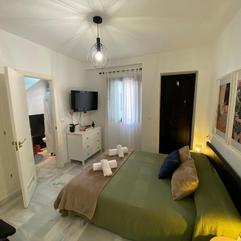 Dúplex Casco Histórico, terraza, garaje - Apartamento de 2 dormitorios - 21