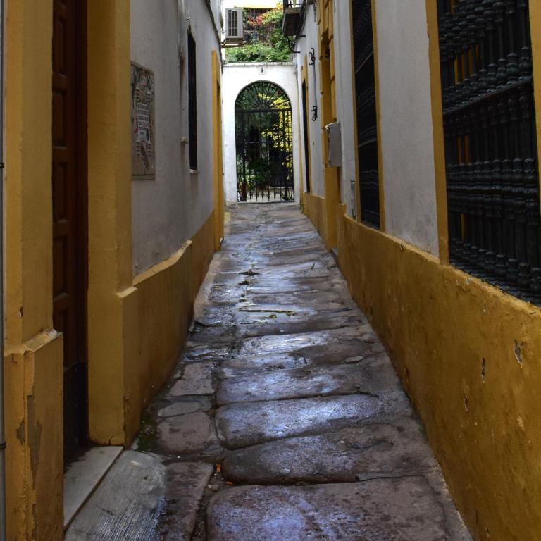 Noches de Córdoba - Suite de 1 dormitorio - 36