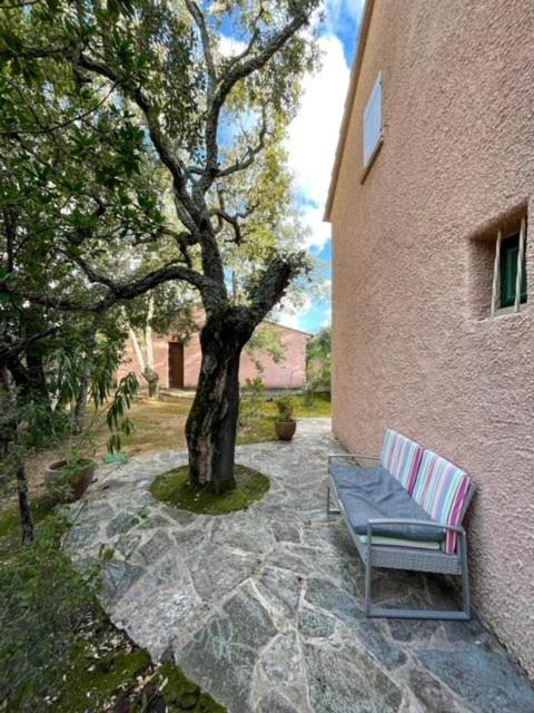 Mini villa Erbalunga, Santa Giulia - Haus mit 3 Schlafzimmern - 19