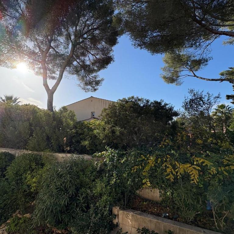 Esprit Palladio - Appartement 3 Chambres - 27