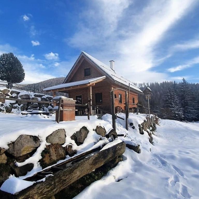 Götschlhütte - Ferienhaus - 3