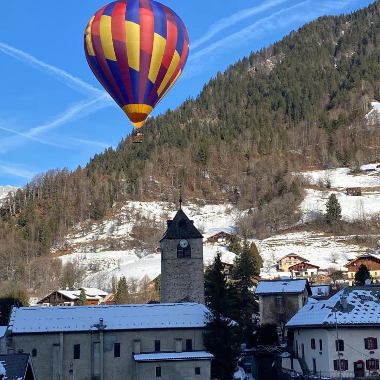 L'Ecrin des Myrtilles - Appartement cosy - Piscine et vue montagne - Alpes - Val d'Arly - Aravis et Beaufortain - Appartement 1 Chambre - 68
