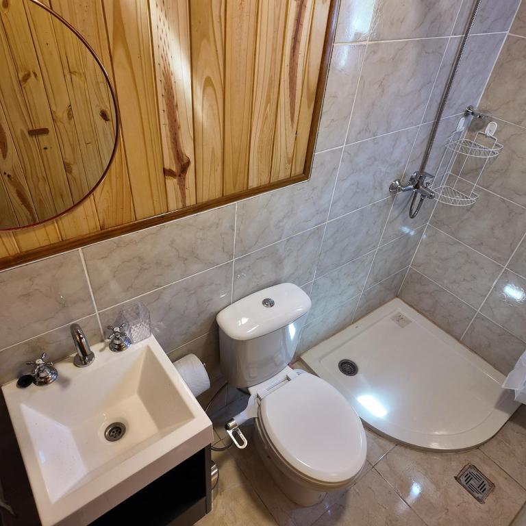 Premium Cabin in El Bolsón - One-Bedroom Chalet - 8