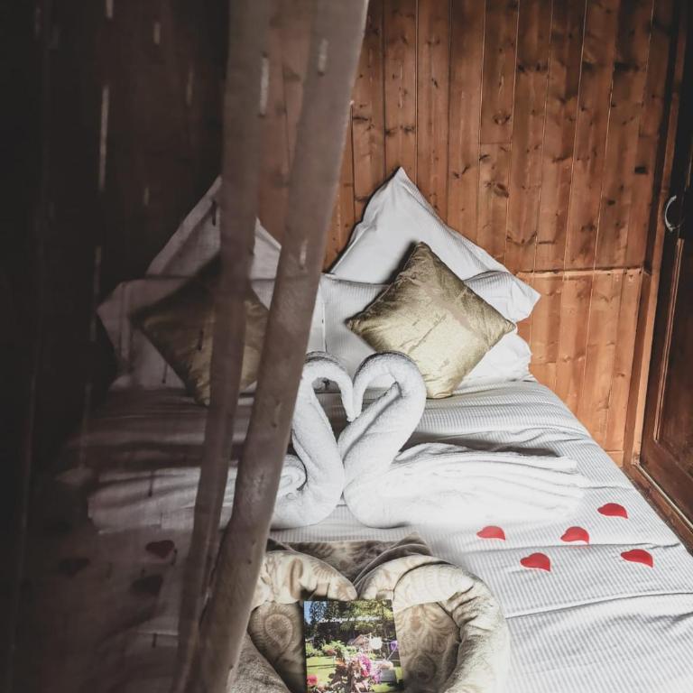 Les Lodges de Babylone - Chambre Double Standard - 3