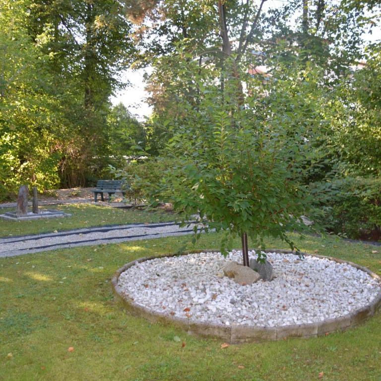 Chalet Swiss - App.Nelles - Superior Apartment - 9