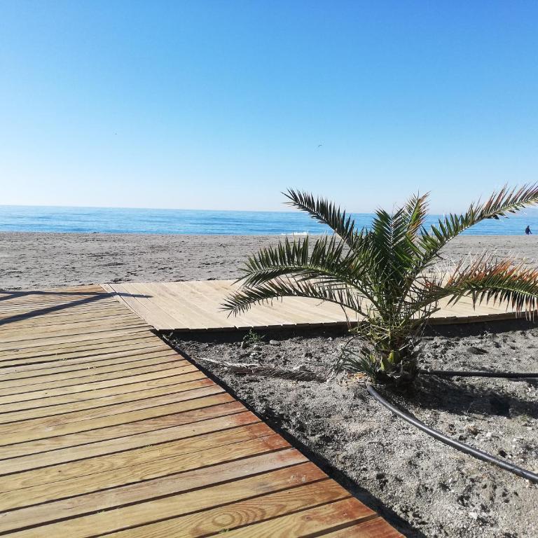 Marinsa Beach Gaviota - Apartamento de 2 dormitorios con terraza - 22