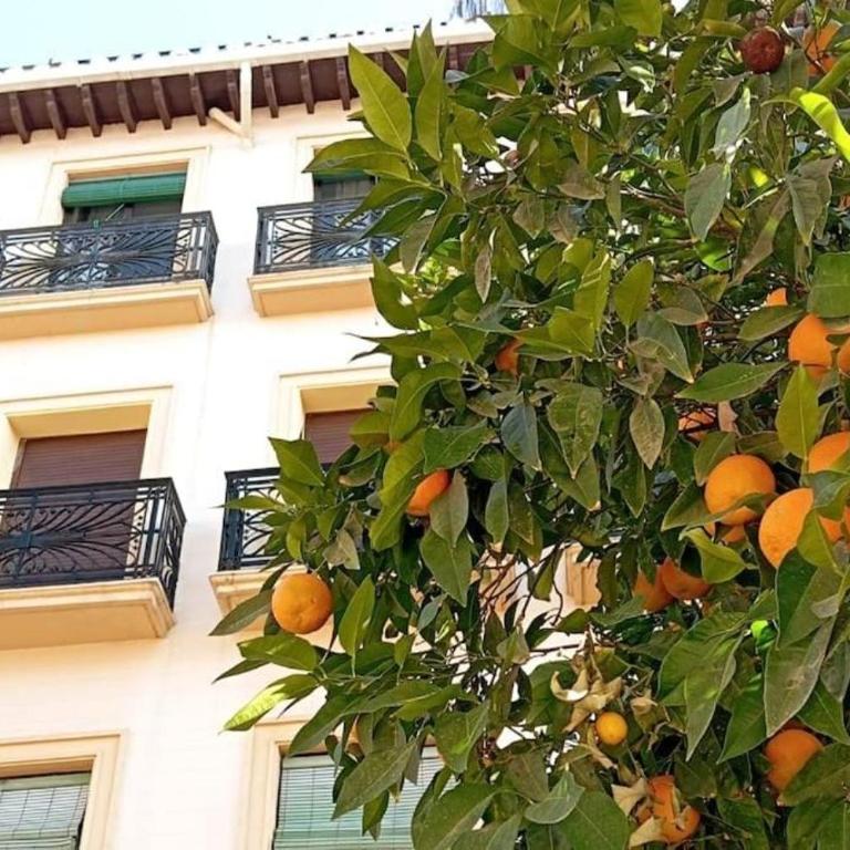 Large apartment in Albayzin & Center - Two-Bedroom Apartment with City View - 16