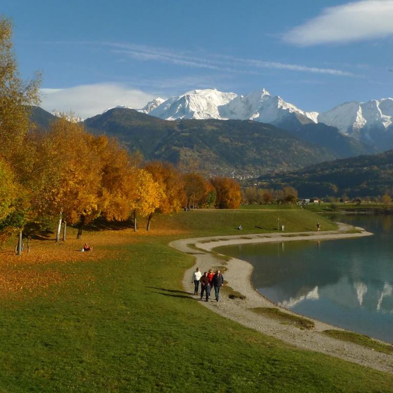 Location de charme 4 étoiles à Passy - Appartamento con 2 Camere da Letto - 4