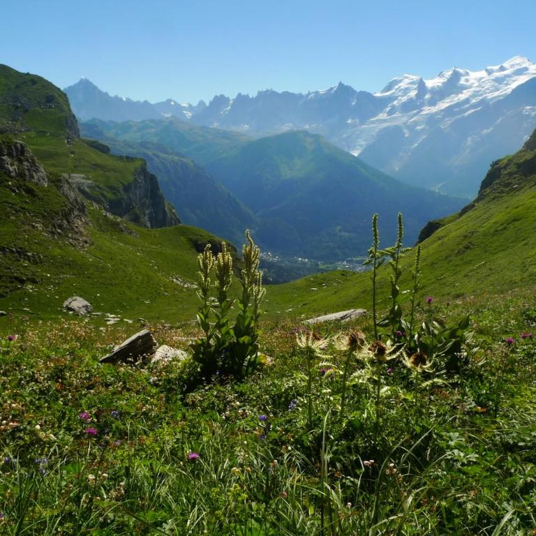 Location de charme 4 étoiles à Passy - Appartamento con 2 Camere da Letto - 26