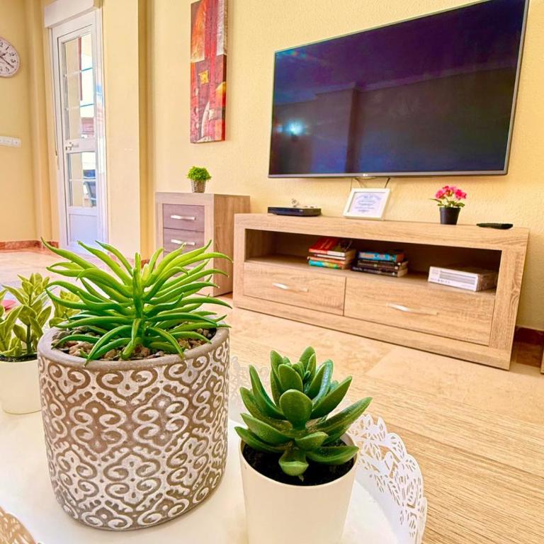 Large Apartment with Sea Views & Terrace - One-Bedroom Apartment - 12