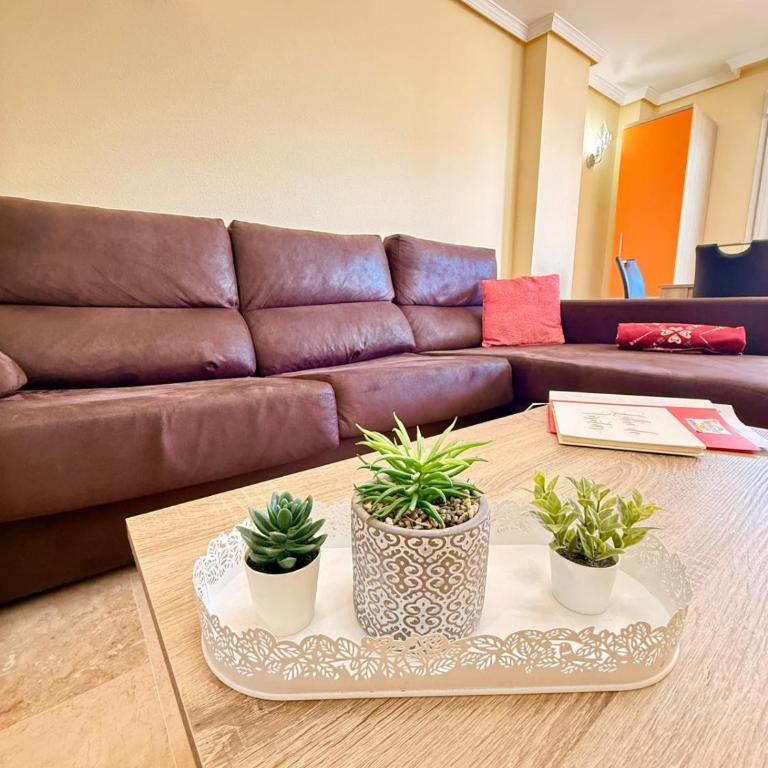 Large Apartment with Sea Views & Terrace - One-Bedroom Apartment - 5