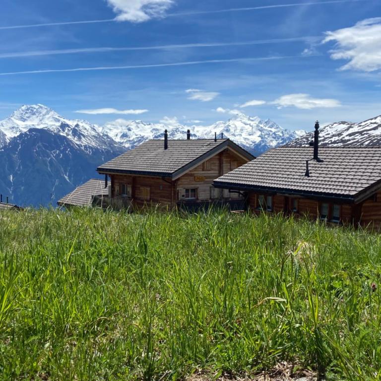 Chalet Allegra AL0 - Chalet - 14