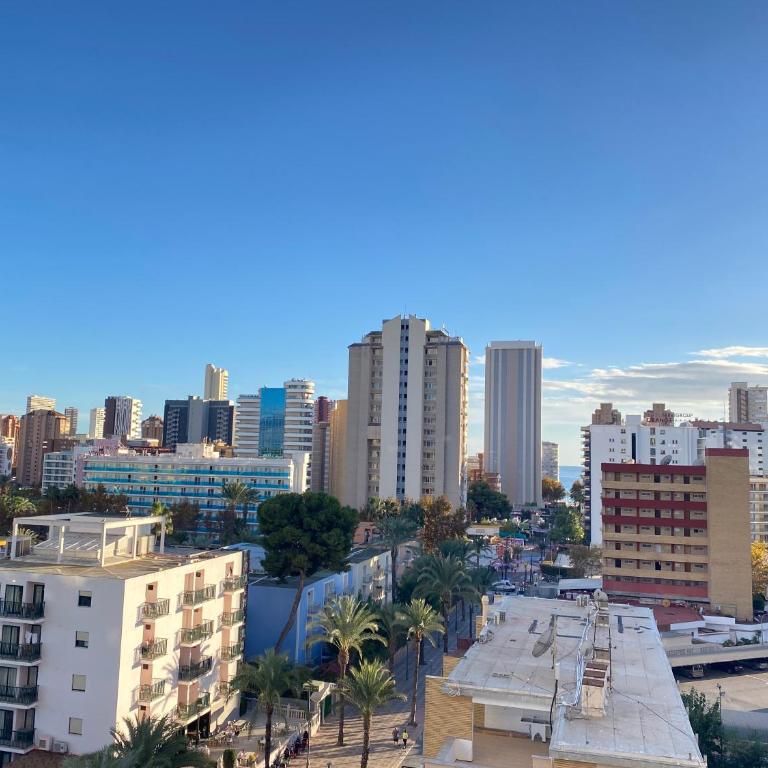 Mariscal 5-Fincas Benidorm - Apartamento Estándar de 1 dormitorio - 6