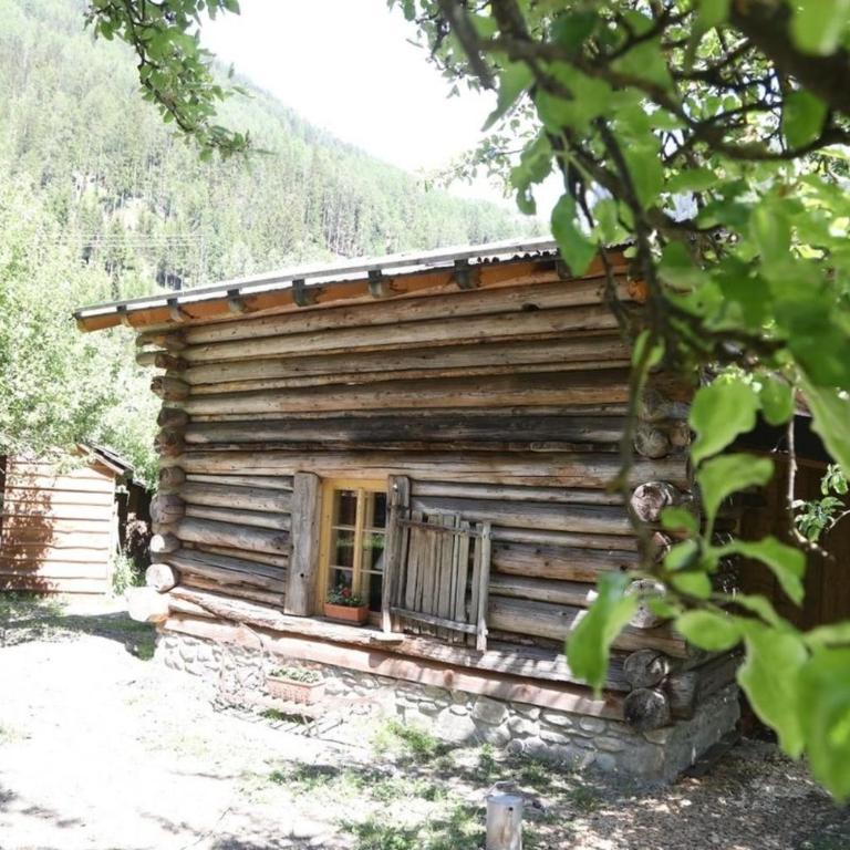 Heidi Hütte - Ferienhaus - 1