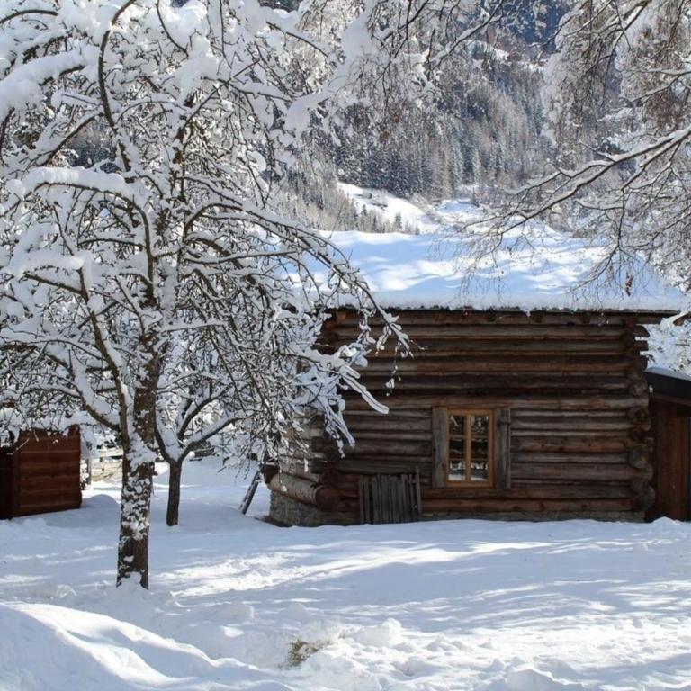 Heidi Hütte - Ferienhaus - 2