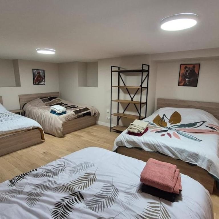 Renovated apartment for 10 people - Appartement 1 Chambre - 18