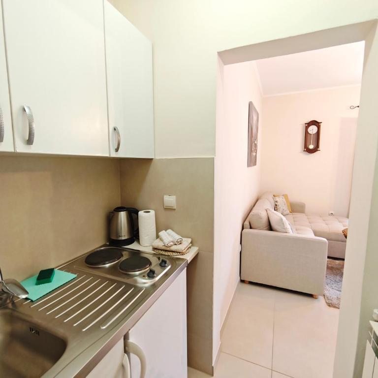 Apartments Jovanovic - Apartment - Ground Floor - 10