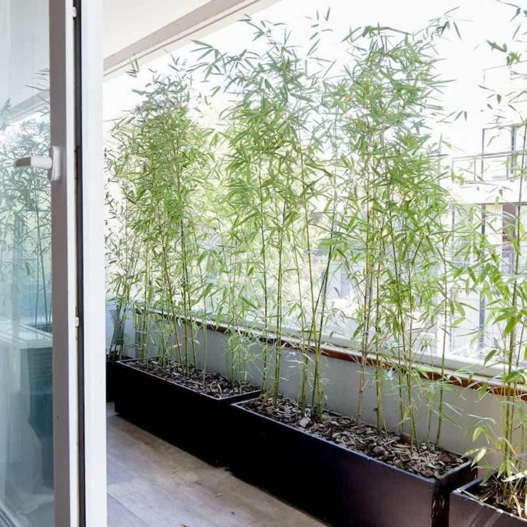 Departamento en Palermo Studio Calm - Apartamento - 4