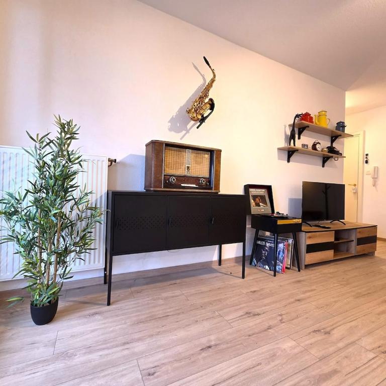 Jazz & Colmar - T2 - Free Parking - Centre ville- Colmar - Appartement 1 Chambre - 11