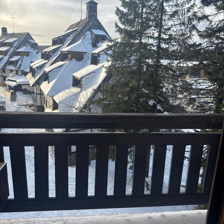 Vila Kopaonik Apartmani Milenkovic - Standardni Trokrevetni Studio - 8