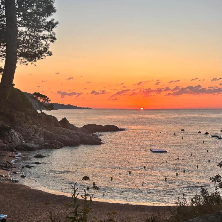 Cala Salions, Amplio Apartamento con visitas al mar Tossa de mar - Apartamento con vistas al mar - 8