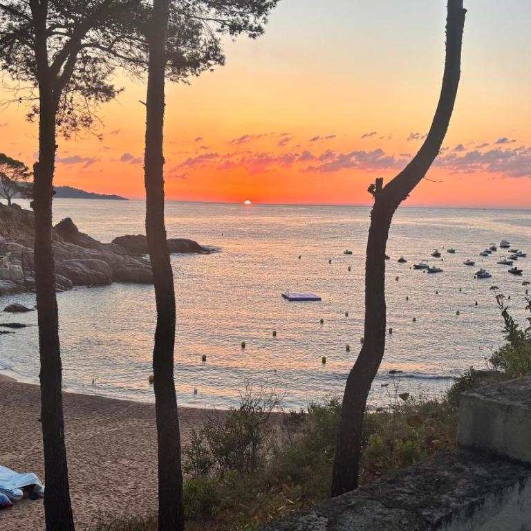 Cala Salions, Amplio Apartamento con visitas al mar Tossa de mar - Apartamento con vistas al mar - 1