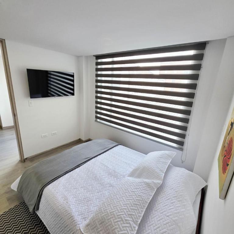 Apartamento Monociclo - Apartamento de 2 dormitorios - 3