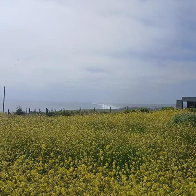 House for Rent in Pichilemu, Ideal for Rest - Four-Bedroom House - 26