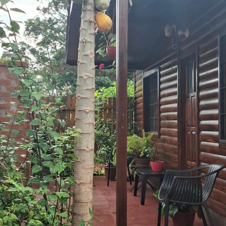 Iguazú Cabañas - One-Bedroom House - 14