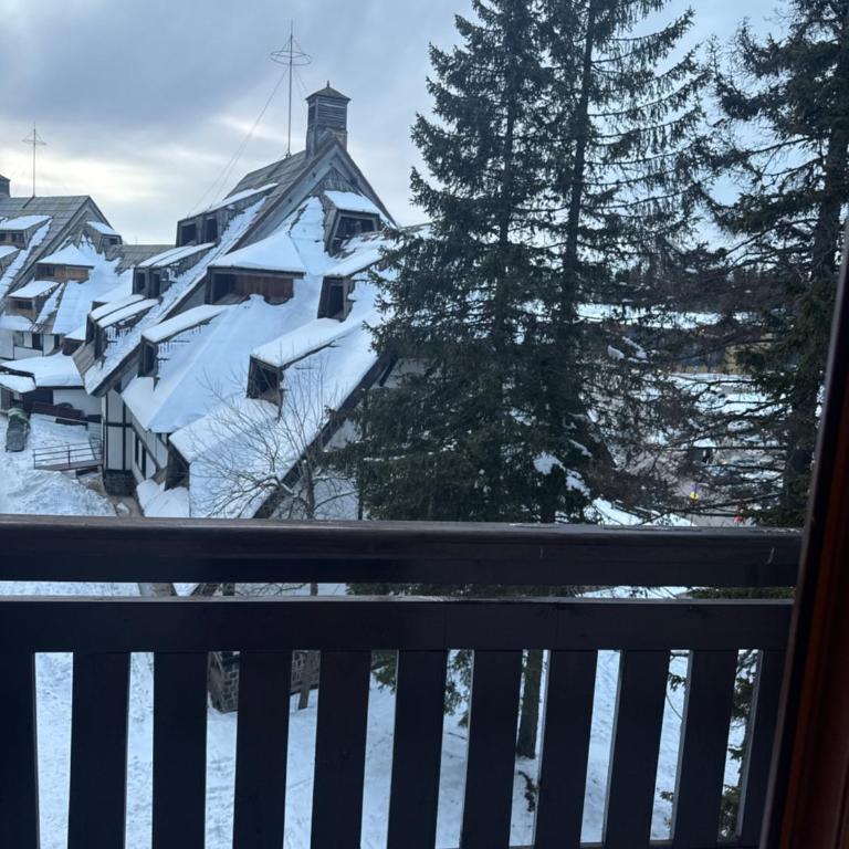 Vila Kopaonik Apartmani Milenkovic - Standardni Trokrevetni Studio - 3