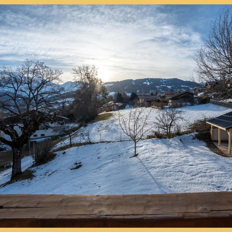 Le Balcon du Mont-BIanc I Duplex I Combloux - Appartement 2 Chambres - 31