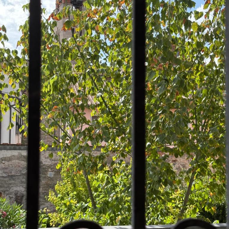 appartamento Lele Lucca - Appartamento con 2 Camere da Letto e Balcone - 5
