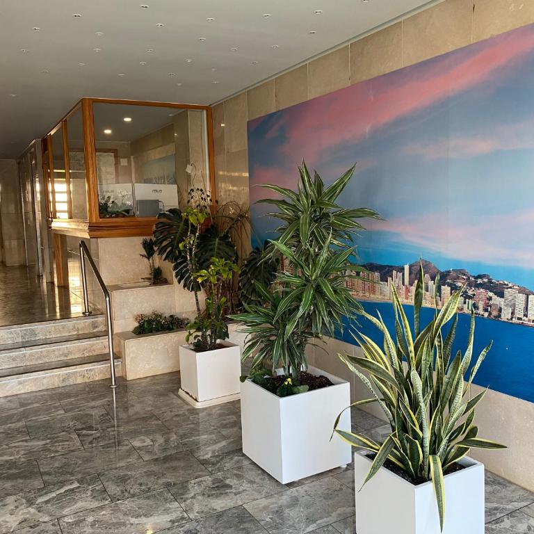 Trinisol 2-Fincas Benidorm - Apartamento de 1 dormitorio - 19