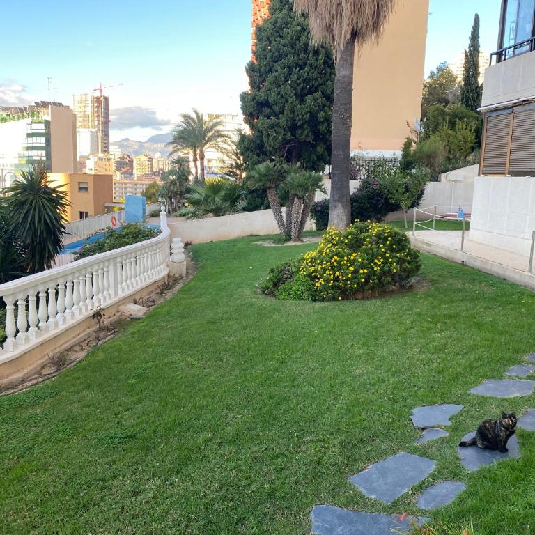Trinisol 2-Fincas Benidorm - Apartamento de 1 dormitorio - 6