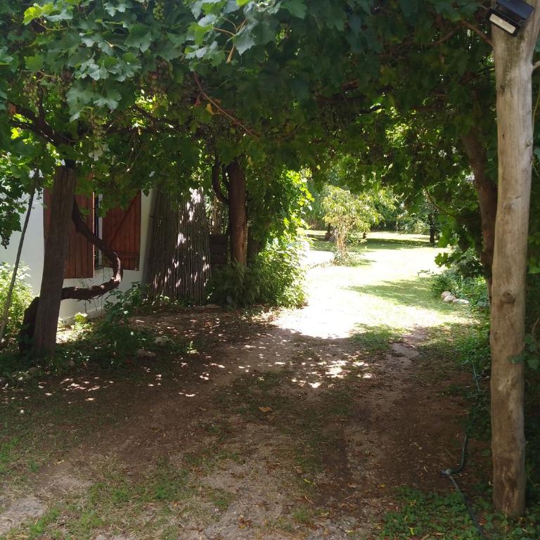Los Nogales - Two-Bedroom Apartment - 2