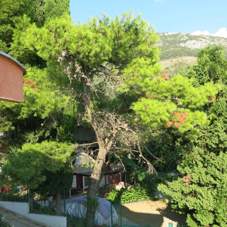 Apartments Victoriya - Apartman sa Pogledom na More - 61