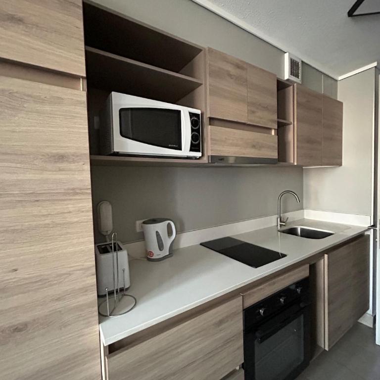 Departamento en pleno centro de Temuco - One-Bedroom Apartment - 5